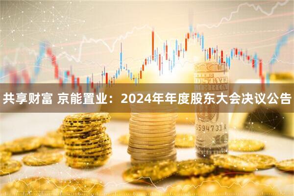 共享财富 京能置业：2024年年度股东大会决议公告