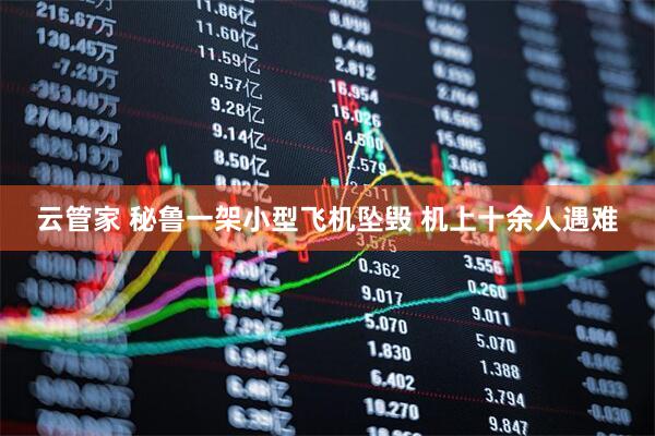 云管家 秘鲁一架小型飞机坠毁 机上十余人遇难